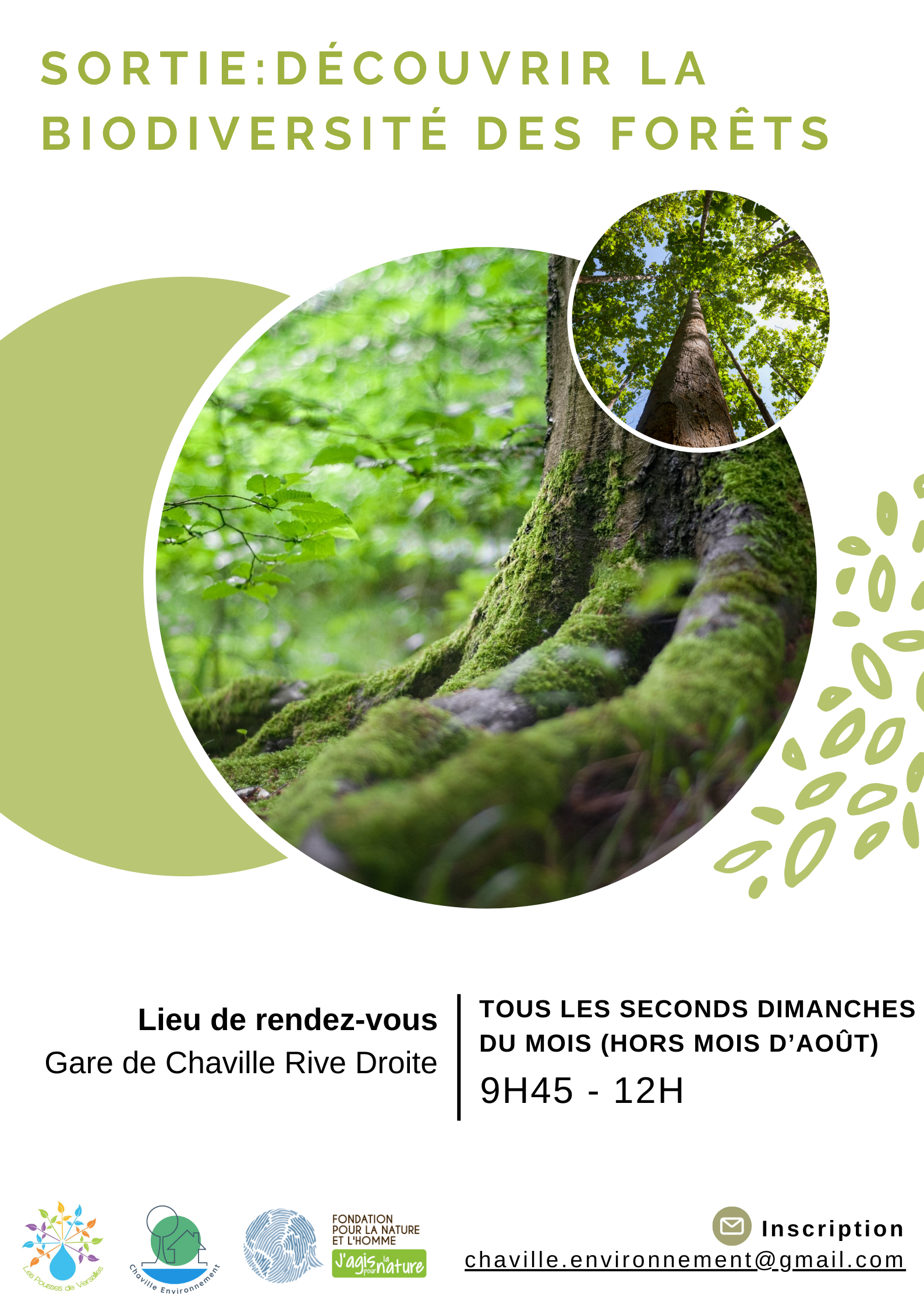 Lire la suite à propos de l’article SORTIE : Découvrir la biodiversité des forêts